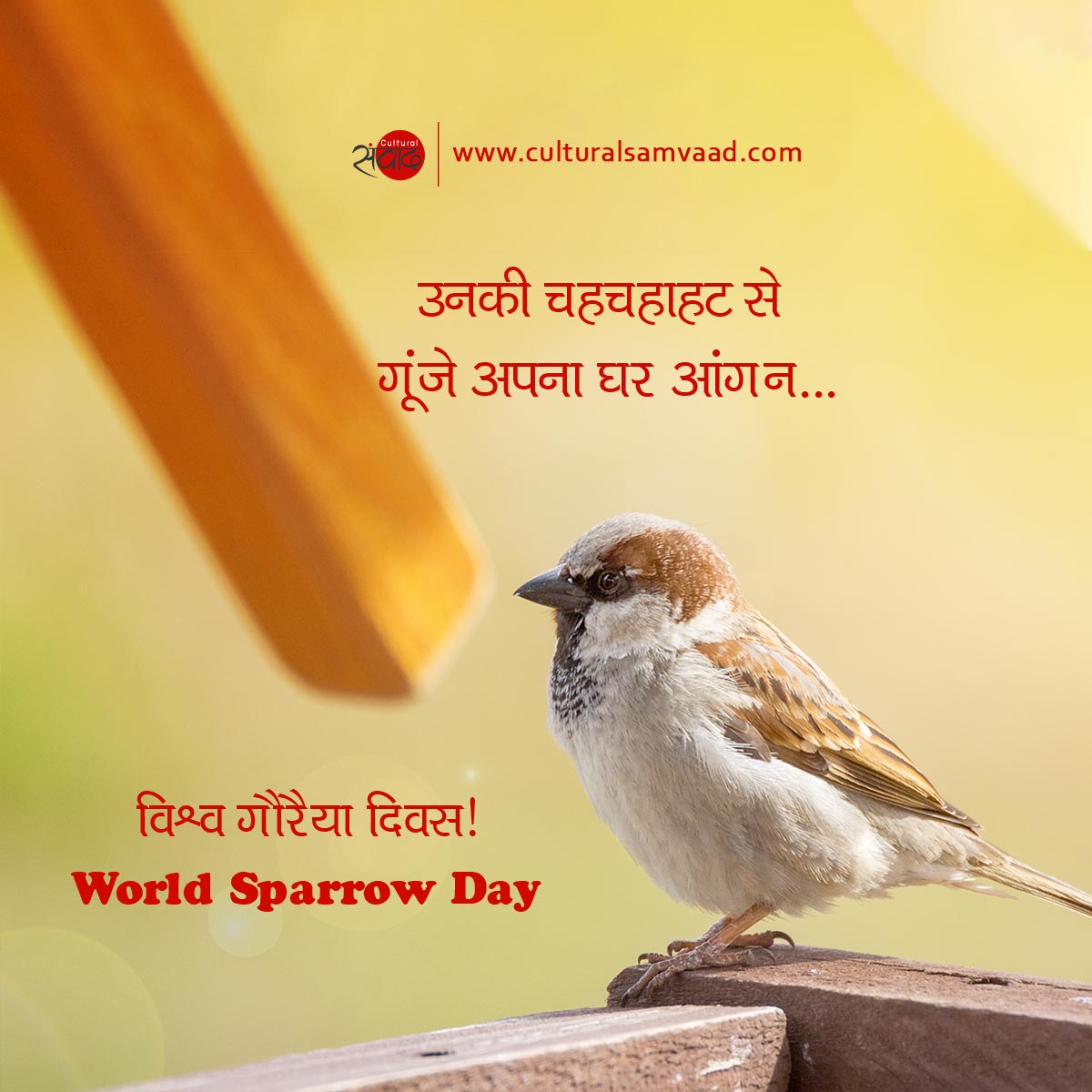 World Sparrow Day 2020