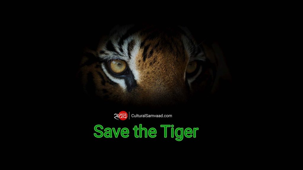 International Tiger Day