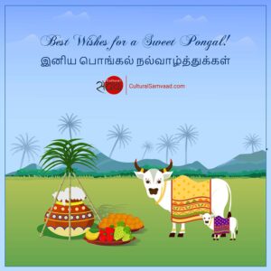 Best Wishes on Pongal