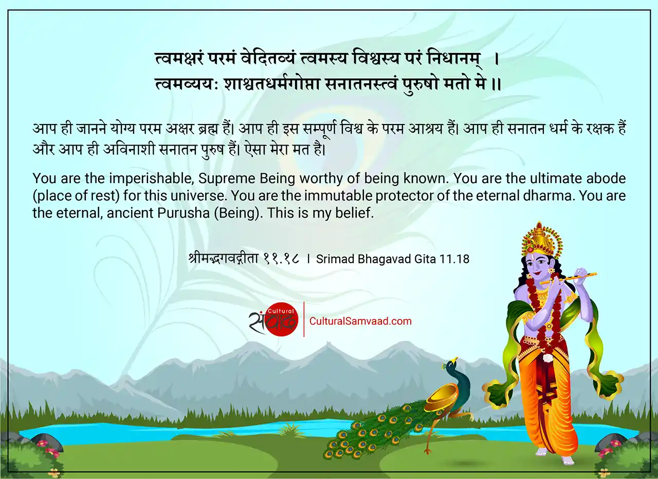 Srimad Bhagavad Gita 11.18 - त्वमक्षरं परमं वेदितव्यं